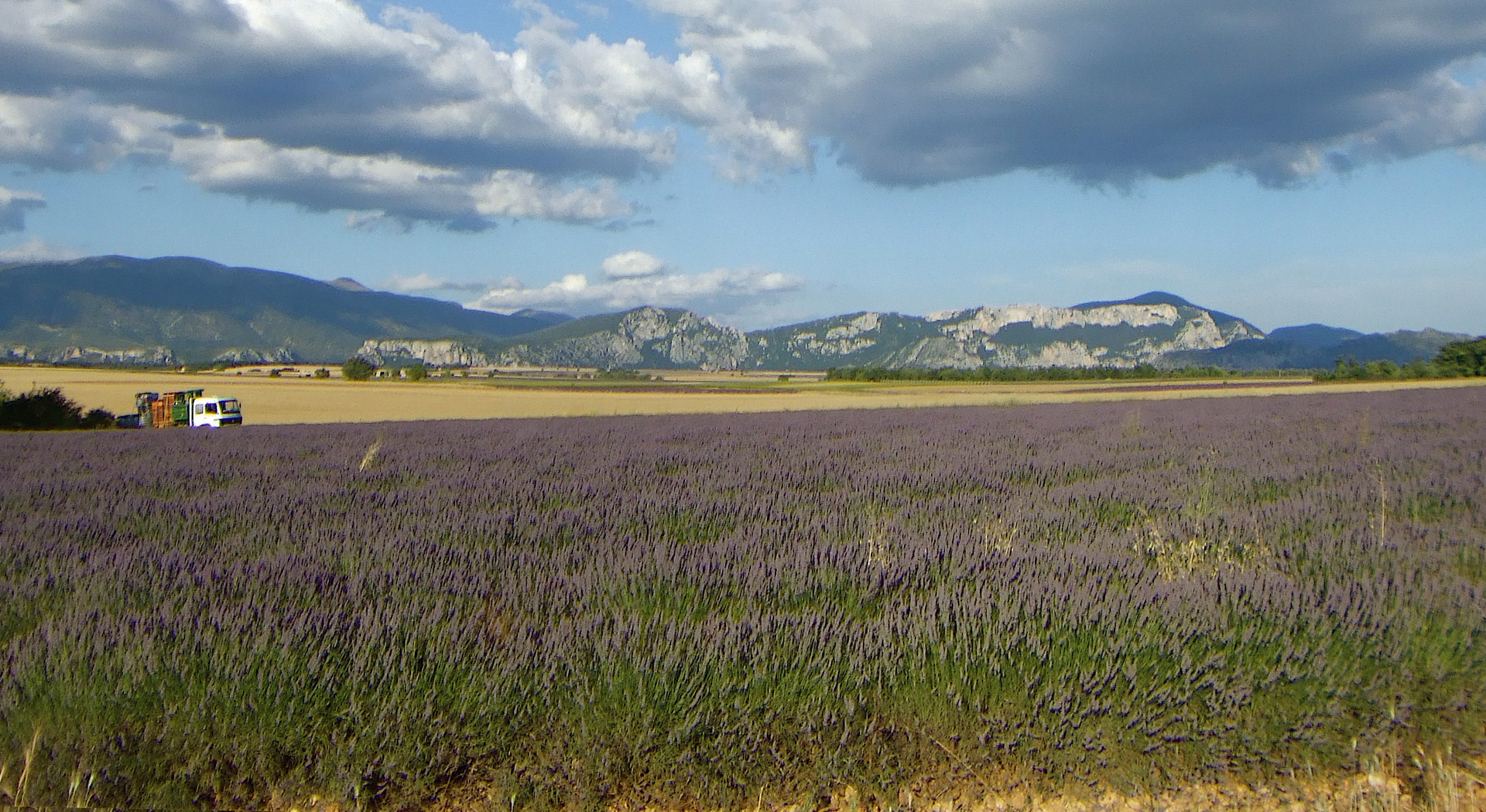Nos apiculteurs, du littoral à a Haute-Provence