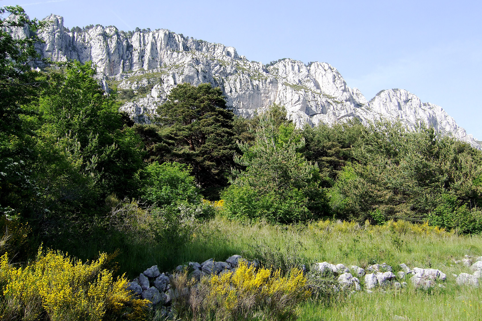 Miel de Provence  - pre-alpes