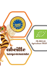 Abeille Rayonnante Nadège BONANNO