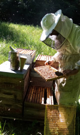  Christophe BENVENUTO