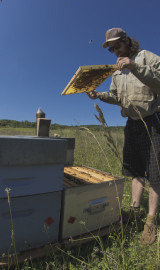 KARM APICULTURE Jean-baptiste KARM